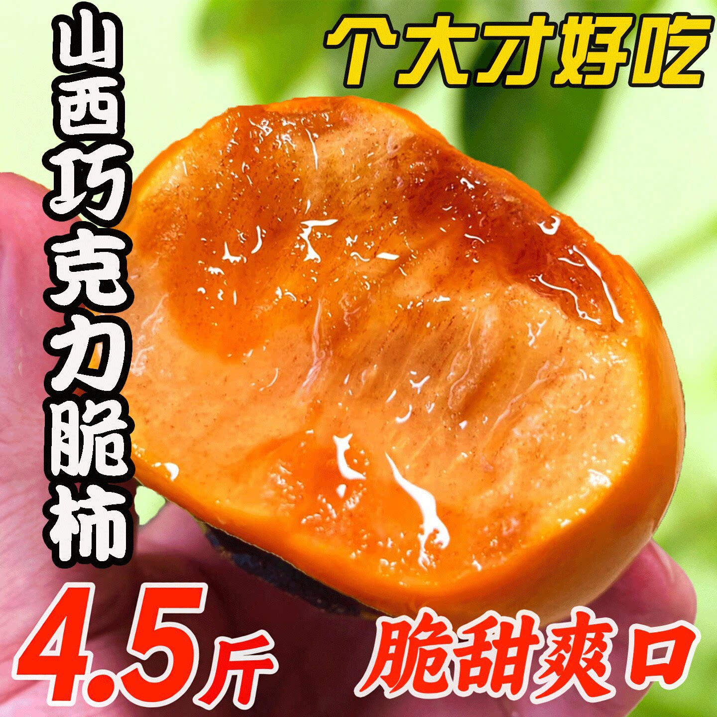 正宗山西阳丰巧克力脆柿子当季新鲜水果硬甜冰糖心黄心大果包邮