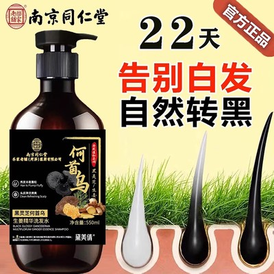 同仁堂何首乌黑灵芝洗发水养护发去屑止痒变黑发控油蓬松发根乌黑