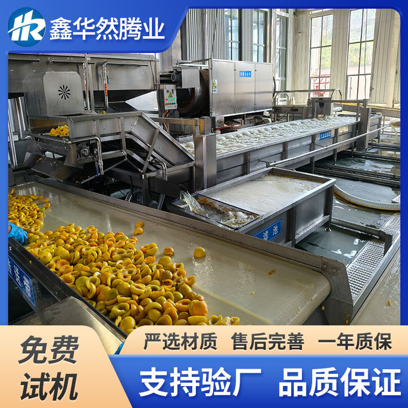 黄桃草莓速冻加工流水线设备 菠萝芒果流态化速冻商用快速冷冻机
