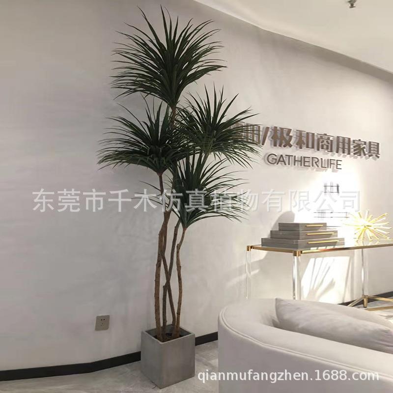 仿真龙血树铁树千年木盆栽真龙血树绿色大型龙血树绿植盆景