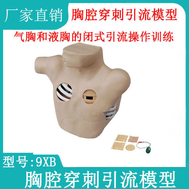 胸腔穿刺闭式引流模拟人