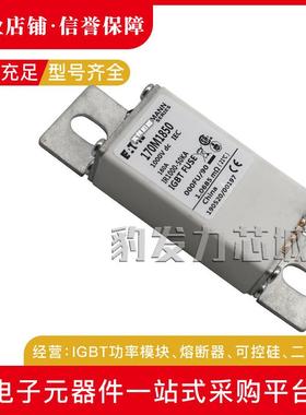170M1860/1861/1862/1863/1864/1865/1866/1867/1868/1869熔断器