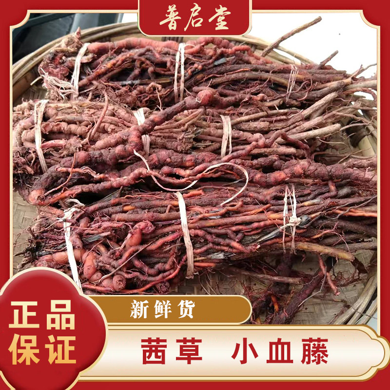 贵州新鲜茜草中药材 小血藤血见愁破血草红内消红根草中草药500克