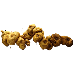 深山现挖滇黄精现挖新鲜老虎姜材鸡头泡酒煮水煲汤生鲜正品