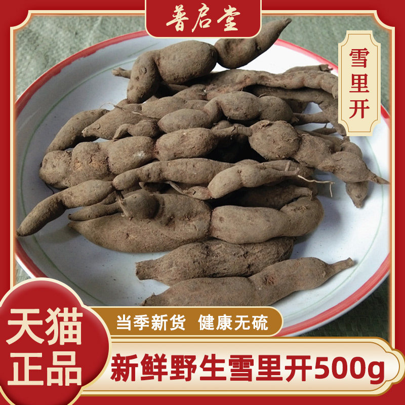 新鲜野生雪里开中药材贵州