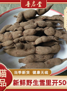 新鲜野生雪里开中药材贵州