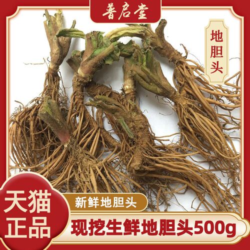 现挖新鲜大个纯头部地胆草地胆头