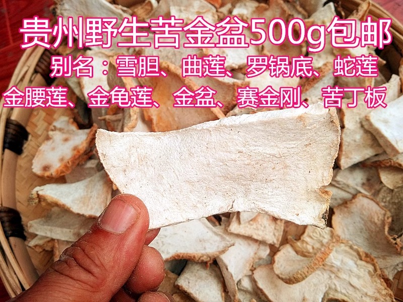 雪胆蛇莲曲莲罗锅底贵州