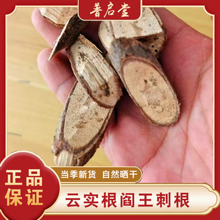 贵州山货云实根中药材 阎王刺根 牛王茨根 新鲜切片晒干500克纯根