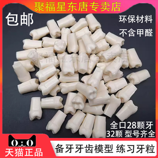 牙科备牙牙齿模型 离体牙 口腔开髓牙洞根管树脂牙 练习牙粒