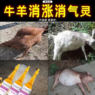 牛羊用消气灵口服液瘤胃胀气鼓气