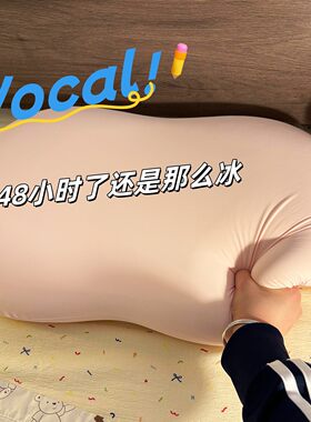立减5元夏天冰丝柔软午睡枕