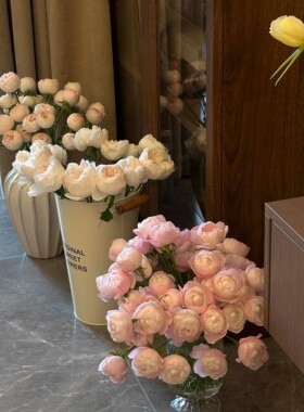 立减5元多功能简约醒花桶