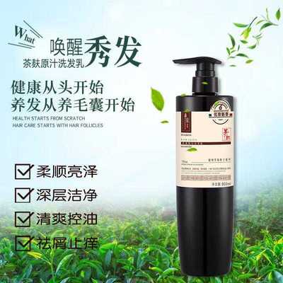 养发茶麸洗头护发蒲京