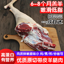 内蒙古羔羊生羊腿带皮后腿肉嫩滑低脂高蛋白顺丰 原切散养鲜嫩 包邮