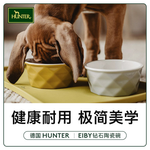 钻石星光陶瓷碗HUNTER