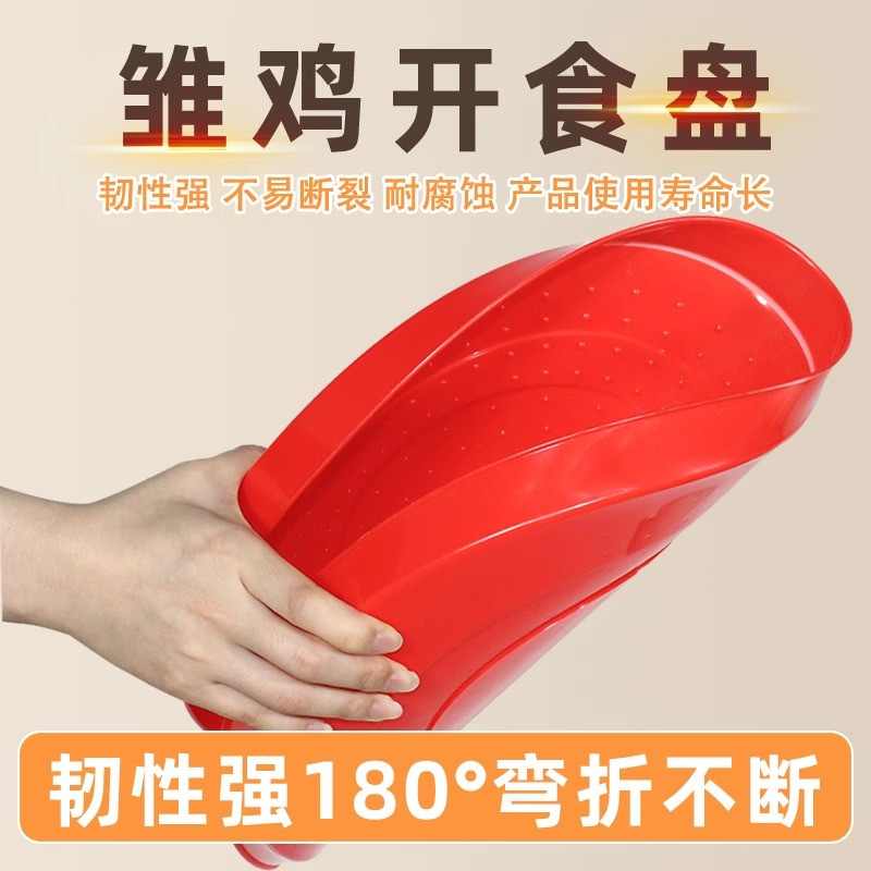 喂鸡工具食槽雏鸡开食盘