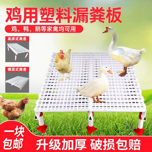 鸡笼漏粪板鸡舍漏粪网鸡鸭鹅鸽舍