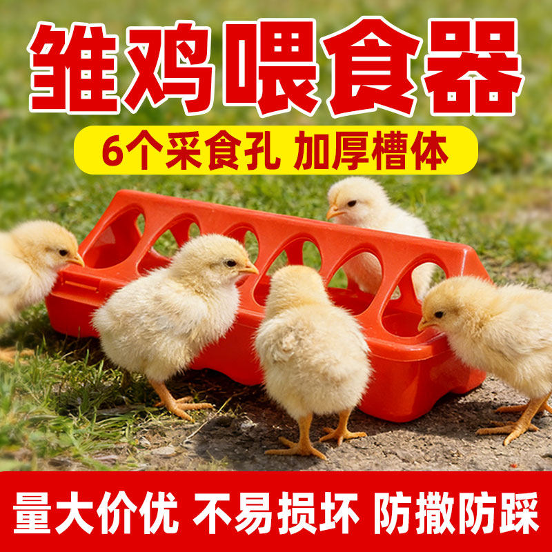 小鸡饲料喂食器芦丁鸡食槽雏鸡自动喂食器小鸡专用槽子喂食盒鹌鹑