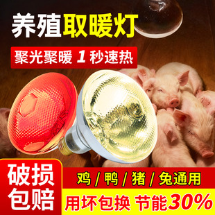 保温灯养殖场专用小鸡育雏取暖灯仔猪恒温防水防爆烤灯狗狗保温灯