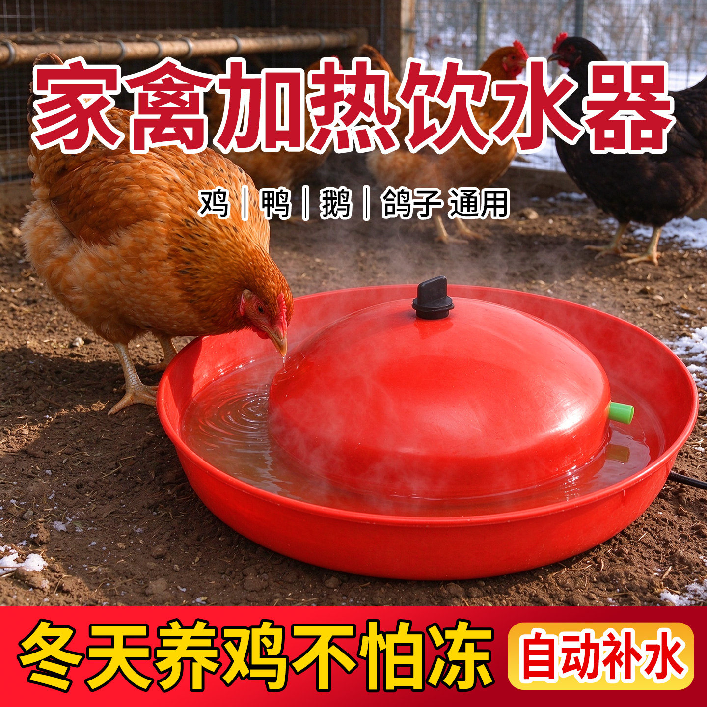 家禽自动恒温加热饮水器