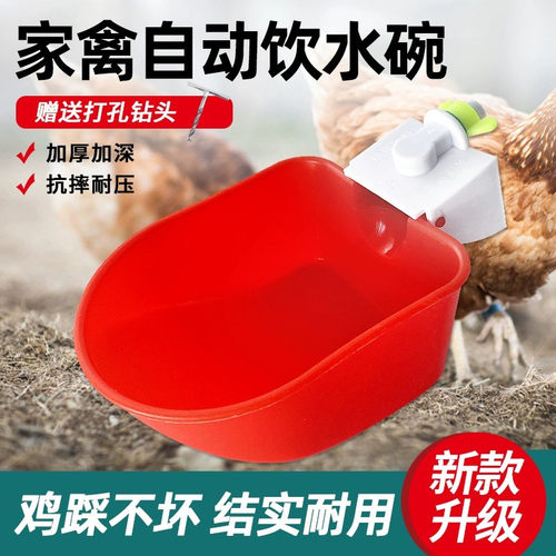 鸡鸭自动饮水器鹦鹉鸽子喂水碗