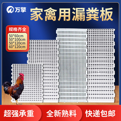 家禽养鸡用鸭鹅塑料漏粪网