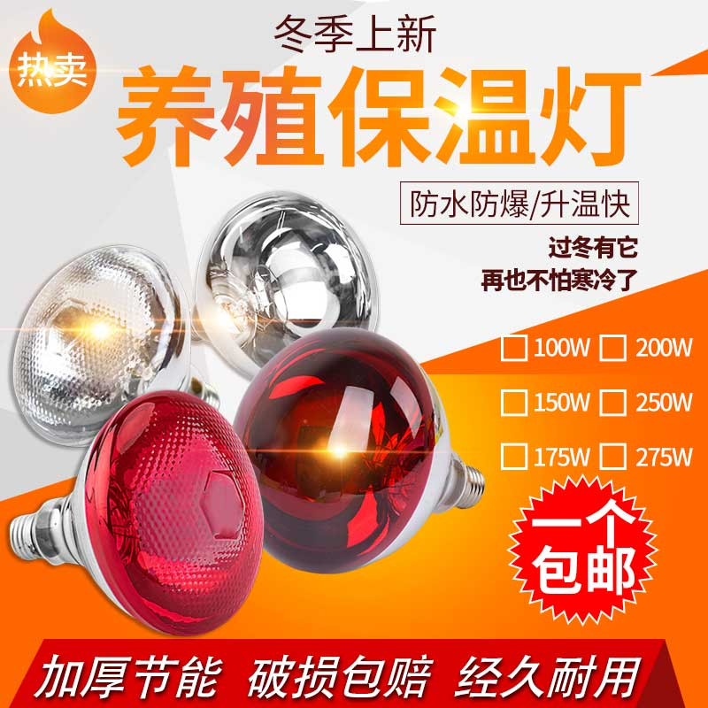 猪用保温灯养殖取暖灯泡兽用芦丁鸡保温灯仔猪养殖场专用加热烤灯