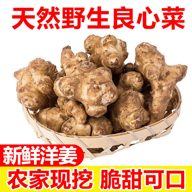 今年新洋姜鬼子姜泡菜腌菜野生姜