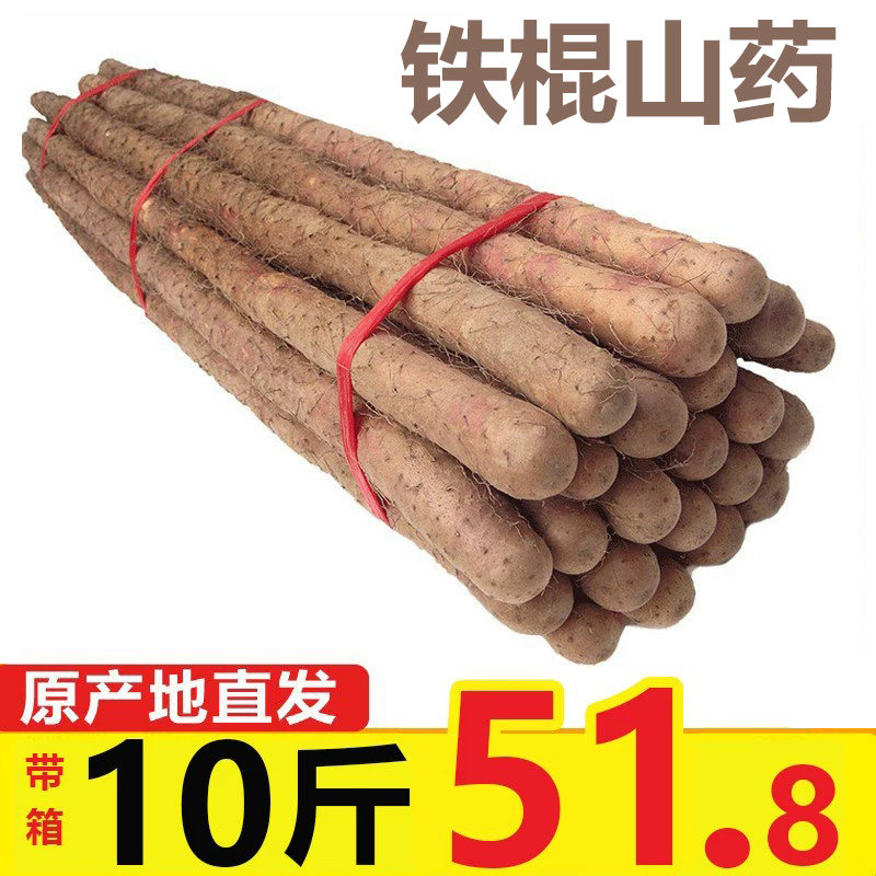 正宗垆土地铁棍山药新鲜小白嘴麻山药棒10斤铁杆淮山河南焦作蔬菜