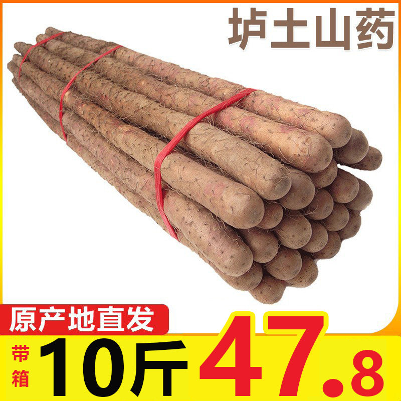 正宗垆土地铁棍山药新鲜小白嘴麻山药棒10斤铁杆淮山河南焦作蔬菜,水产肉类/新鲜蔬果/熟食,新鲜山药,淘宝优惠券,粉丝福利购,淘宝优惠卷