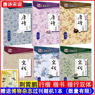 荆霄鹏唐诗三百首 宋词三百首精选楷书行楷钢笔字帖 正楷行楷硬笔书法练字帖 初学者唐诗宋词书写临摹纸楷行双体女生字体 墨点字帖