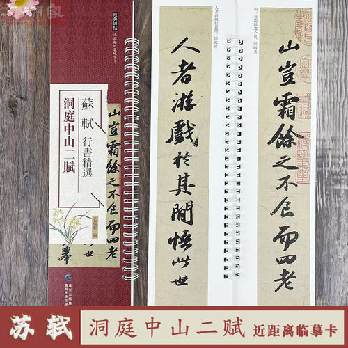 苏轼 行书精选 洞庭中山二赋 近距离临摹字卡 贵州民族出版社 苏东坡行书原帖附繁体旁注书法毛笔练字帖临摹范本 弘蕴轩