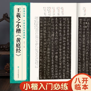 经典全集 王羲之小楷《黄庭经》中国历代经典碑帖 书法行书字帖真迹原大临摹正楷书籍练字入门集字学生 杨建飞 中国美术学院出版社