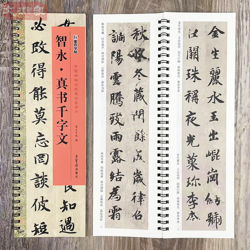 墨点字帖 智永真书千字文 中国碑帖近距离临摹字卡 扫码看视频 1册原帖全文楷书原碑帖书法毛笔练字帖 荣宝斋出版社