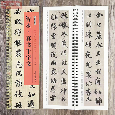 墨点字帖 智永真书千字文 中国碑帖近距离临摹字卡 扫码看视频 1册原帖全文楷书原碑帖书法毛笔练字帖 荣宝斋出版社