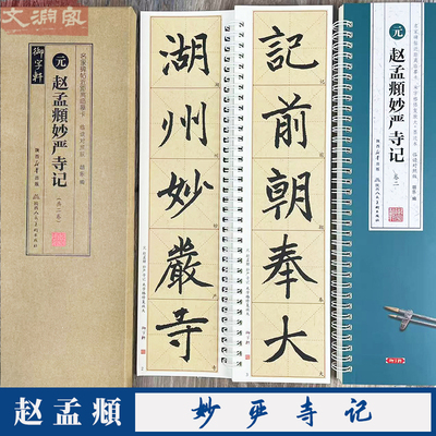 赵孟頫妙严寺记 名家碑帖近距离临摹卡 楷书2册全文高清临读对照版（米字格放大+原帖）书法毛笔字帖简体旁注 陕西人民美术出版社