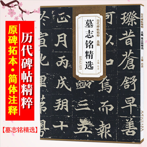 墓志铭精选北魏董美人墓志铭