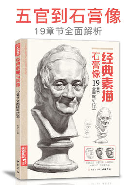 经典全集 经典素描石膏像临摹范本书籍素描结构体块精选教材头骨肌肉分面卦像头像完整全因素长期短期素描中国美院名师 杨建飞主编