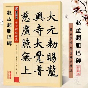赵体楷书书法毛笔字帖 湖北美术出版 传世碑帖精选 成人初学者临摹入门书法练字帖 社 墨点字帖 赵孟頫胆巴碑