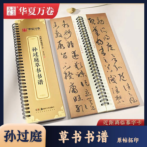 孙过庭草书书谱近距离临摹字卡