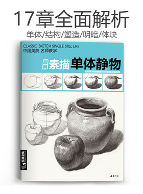 经典素描单体静物 临摹范本大画结构解剖与透视训练入门绘画画单个体静物自学教程材精湛顶陶配罐步骤敲门砖美术高考联考书 杨建飞