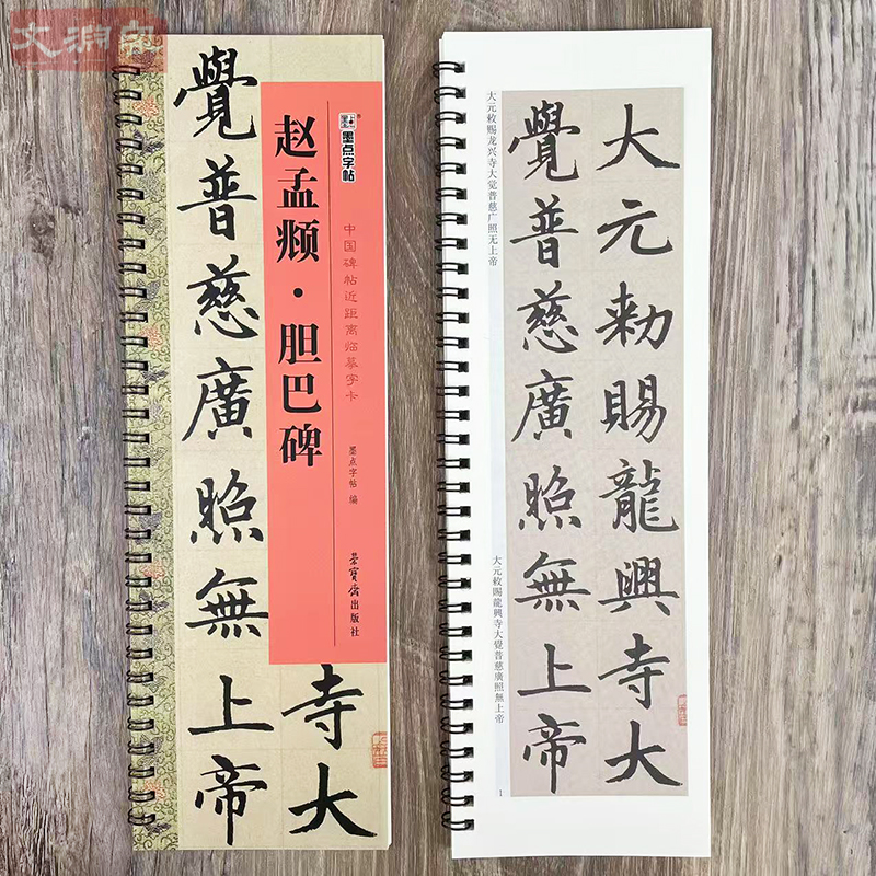 墨点字帖 赵孟頫胆巴碑 中国碑帖近距离临摹字卡 扫码看视频 1册原帖全文赵体楷书初学临摹学生成人入门书法毛笔练字帖 荣宝斋出版