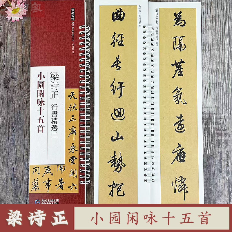 梁诗正行书精选 小园闲咏十五首 近距离临摹字卡 贵州民族出版社 原帖附繁体旁注书法毛笔练字帖 弘蕴轩