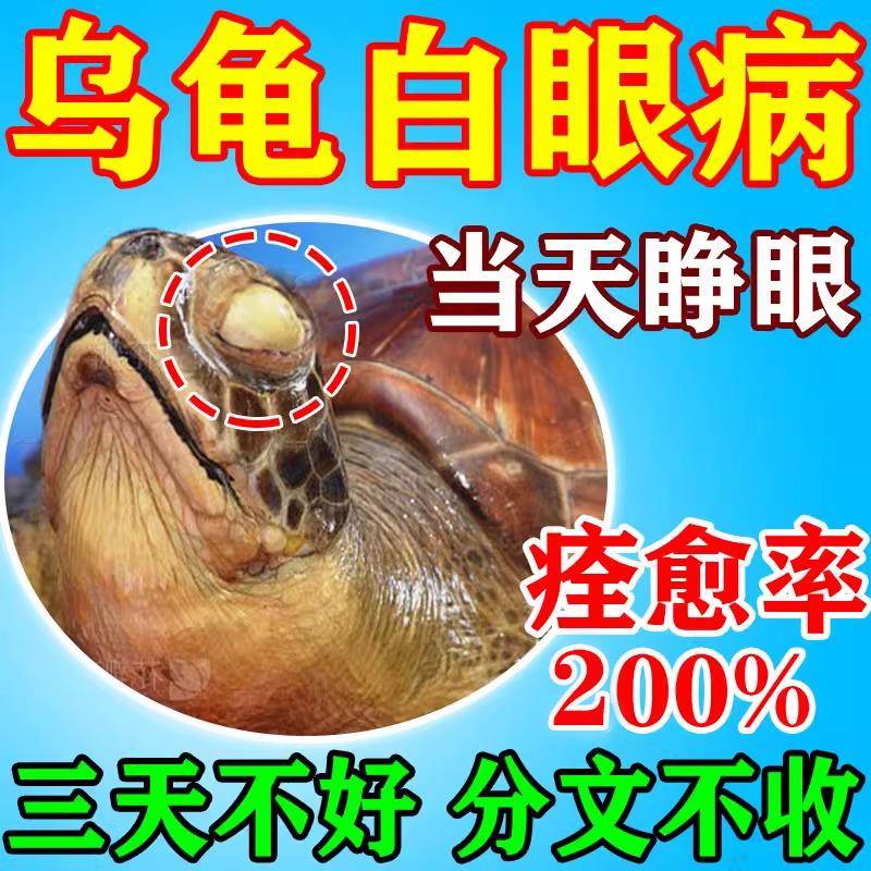 正品乌龟白眼病专用药特效闭眼用治疗巴西草龟眼睛睁不开发白眼药