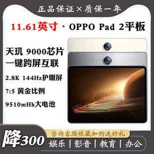 OPPO 2平板电脑大屏超高清天玑9000商务办公游戏pad新款 144hz Pad