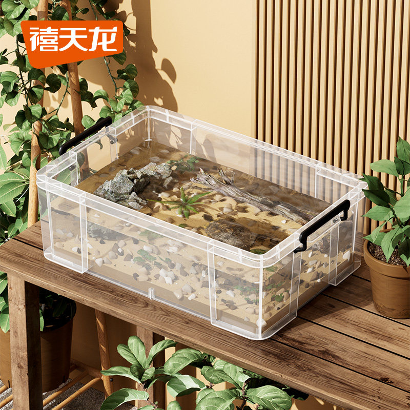 禧天龙乌龟周转箱家用造景生态宠物透明甲鱼养殖加厚塑料收纳箱