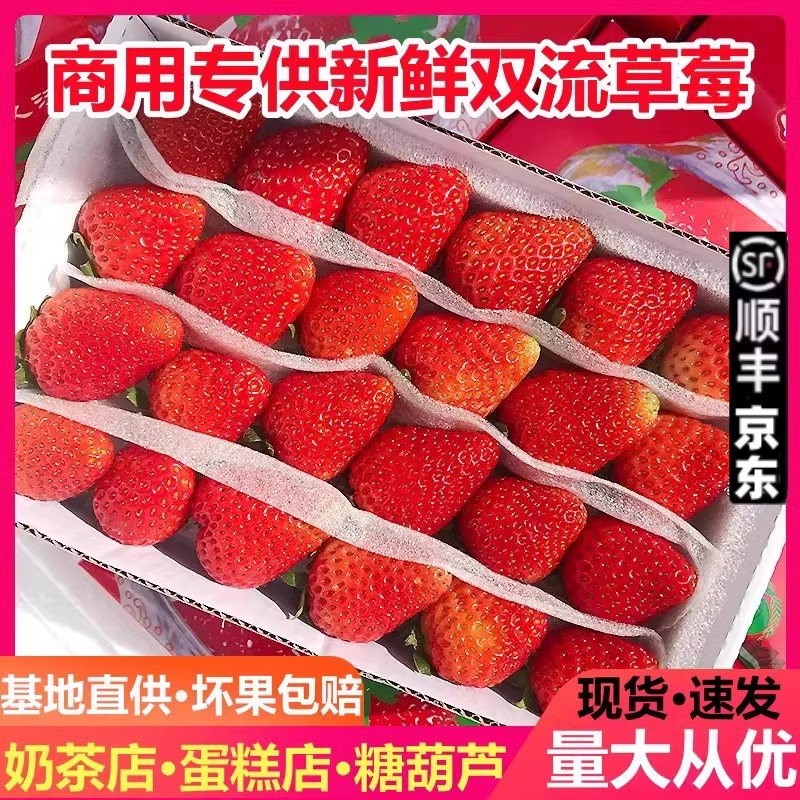 夏季草莓10盒装双流东草莓奶茶蛋糕店烘焙榨汁专用酸草莓批发包邮