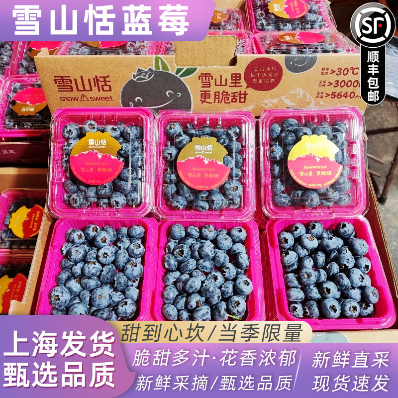 云南玉龙雪山稼沃雪山恬蓝莓125g/盒护眼当季新鲜脆甜蓝莓果顺丰