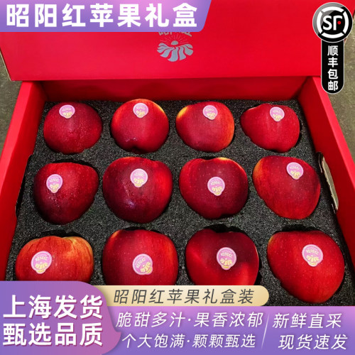 云南昭通昭阳红苹果礼盒12个装新鲜水果冰糖心苹果红富士脆甜多汁